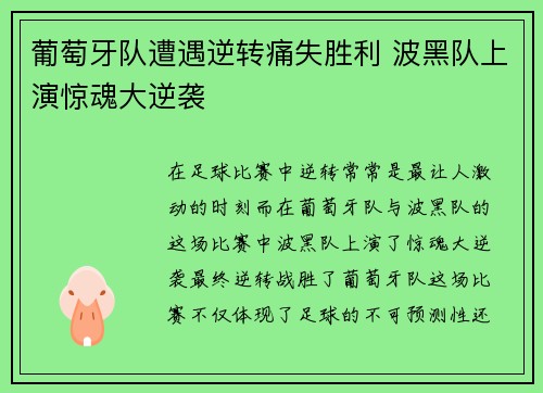 葡萄牙队遭遇逆转痛失胜利 波黑队上演惊魂大逆袭